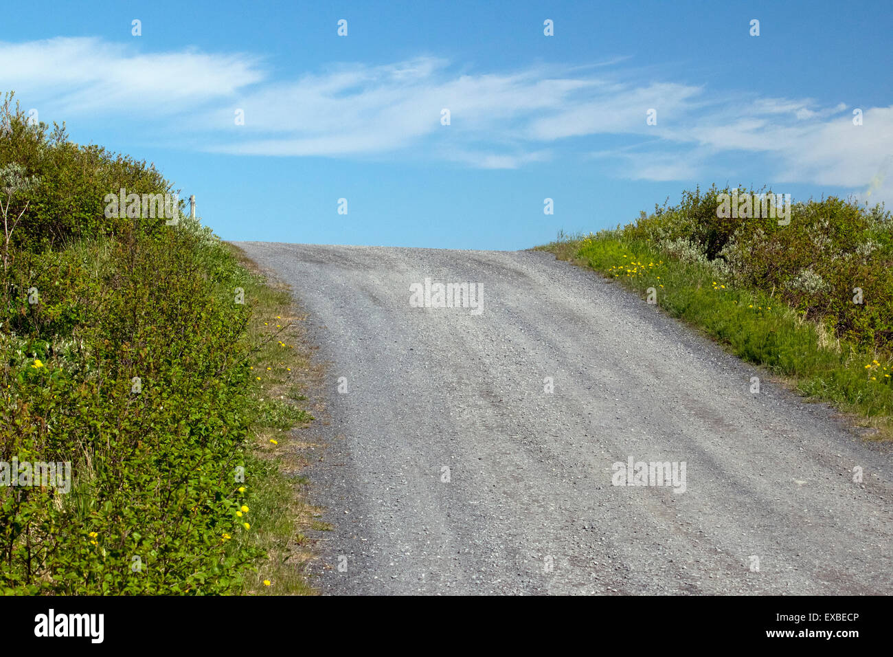 Eine Straße in Neufundland. Stockfoto