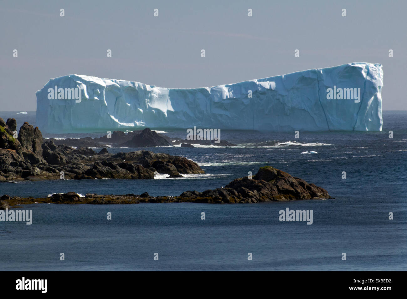 Ein Eisberg in der Nähe von La Scie, Neufundland. Stockfoto