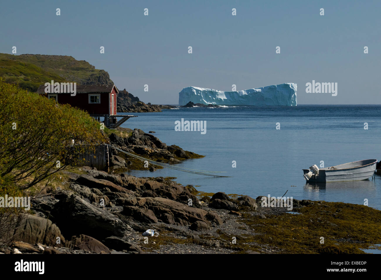 Ein Eisberg in der Nähe von La Scie, Neufundland. Stockfoto