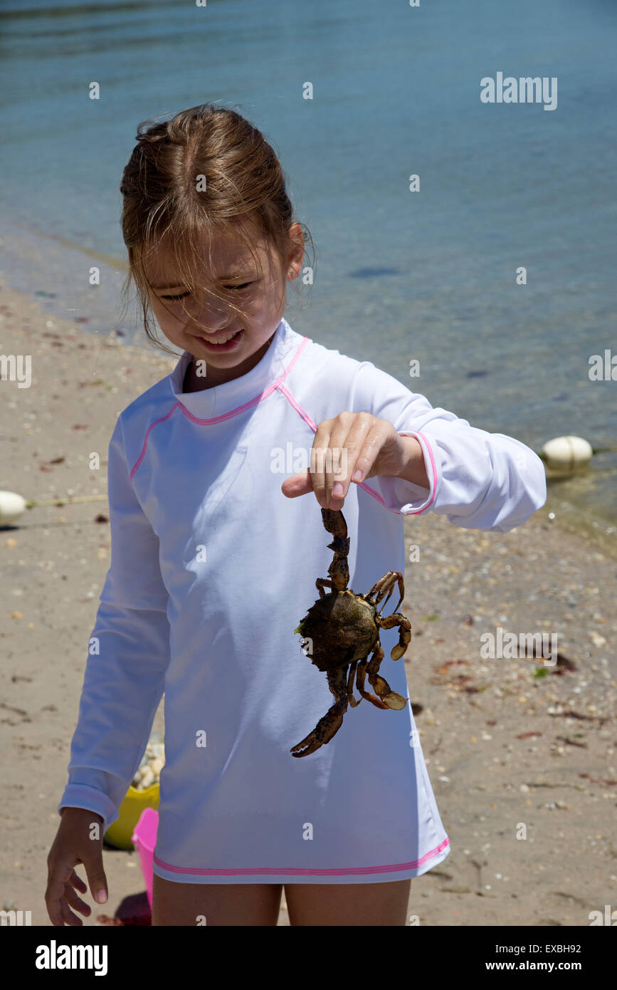 Kleines Mädchen hält eine Krabbe am Meer. Long Island USA Stockfoto