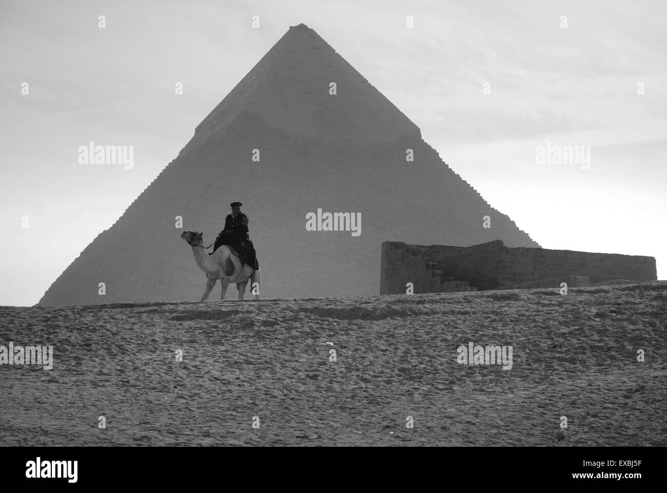 Polizist auf Kamel, die großen Pyramiden, Gizeh Stockfoto