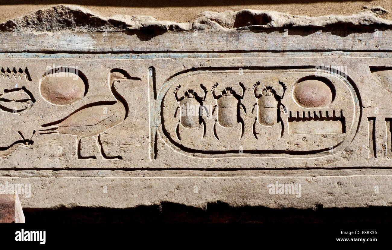 Luxor, Karnak, Egypt.Temple von Karnak Heiligen Gott Amon: Skulpturen in eine Wand mit der Kartusche des Königs Menkeperra Tutmosis II Stockfoto