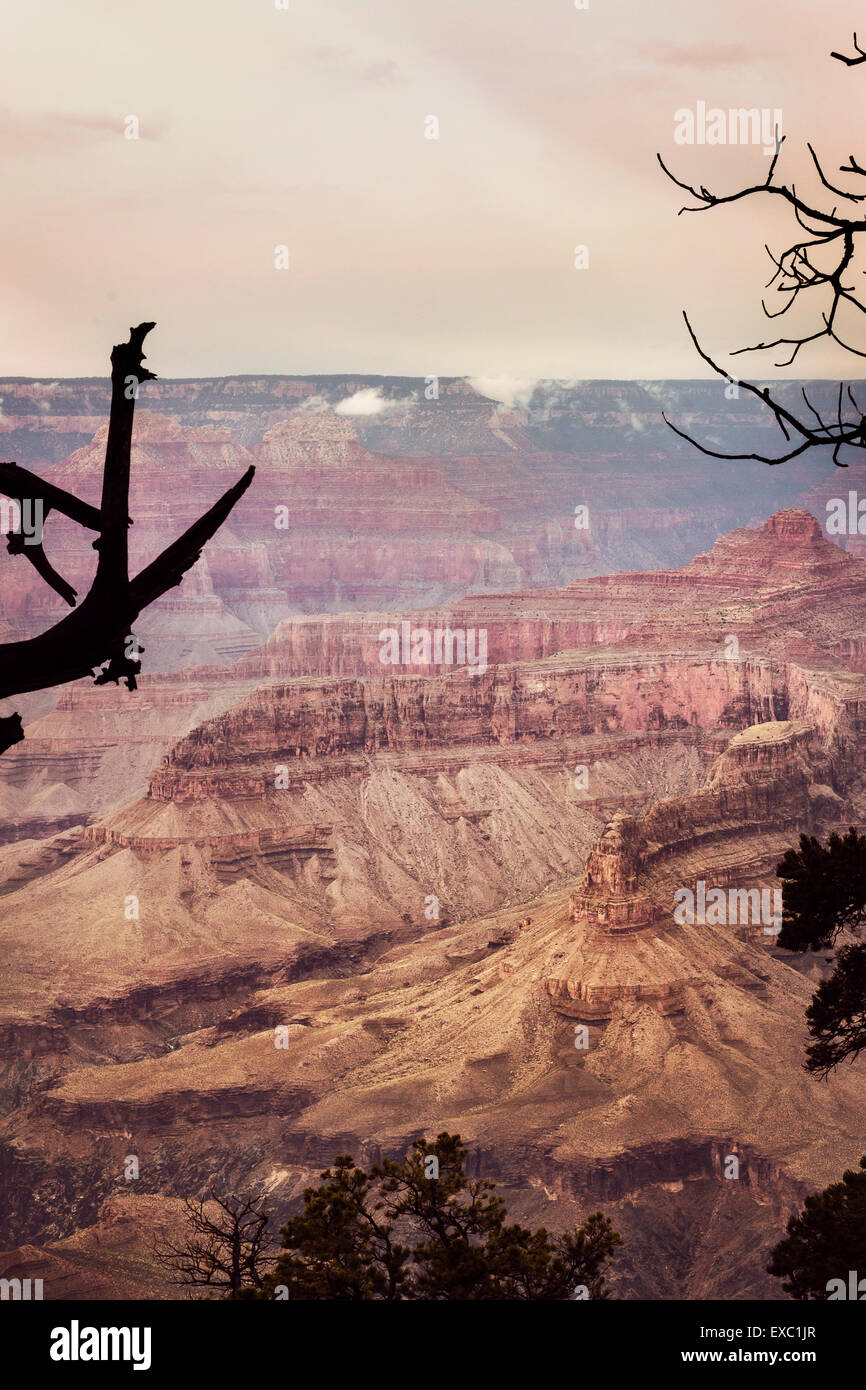 Einblick in Grand Canyon Stockfoto