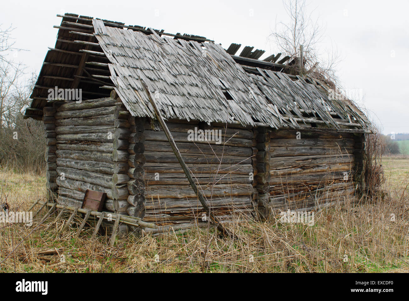 das alte überwucherte Haus gebaut von Protokollen im einsamen Dorf Stockfoto