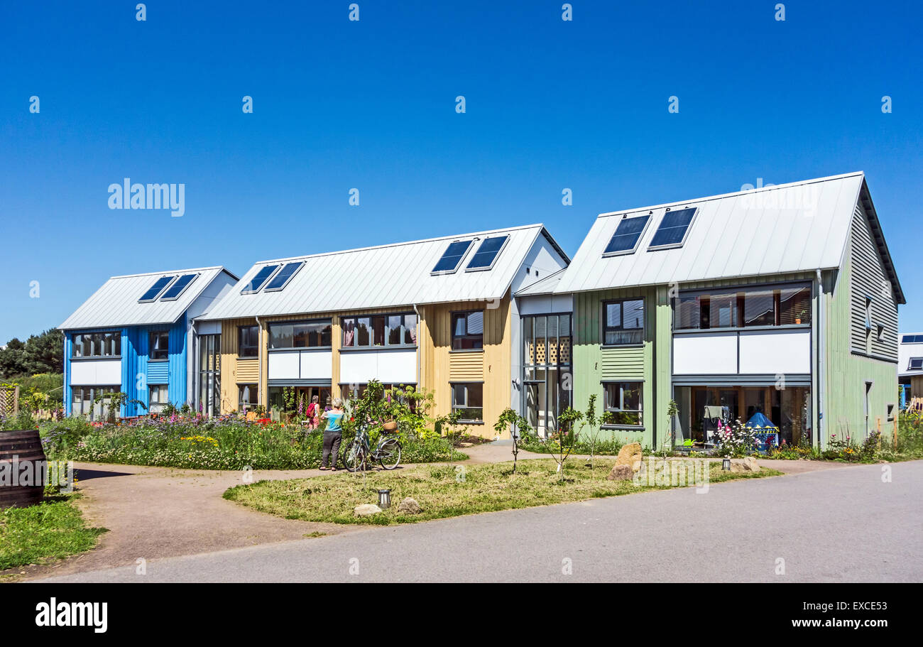 Wohnen im Osten Ginster Co-Gehäuse-Cluster in Findhorn Eco Village Naturschutzgebiet Moray Schottland Stockfoto