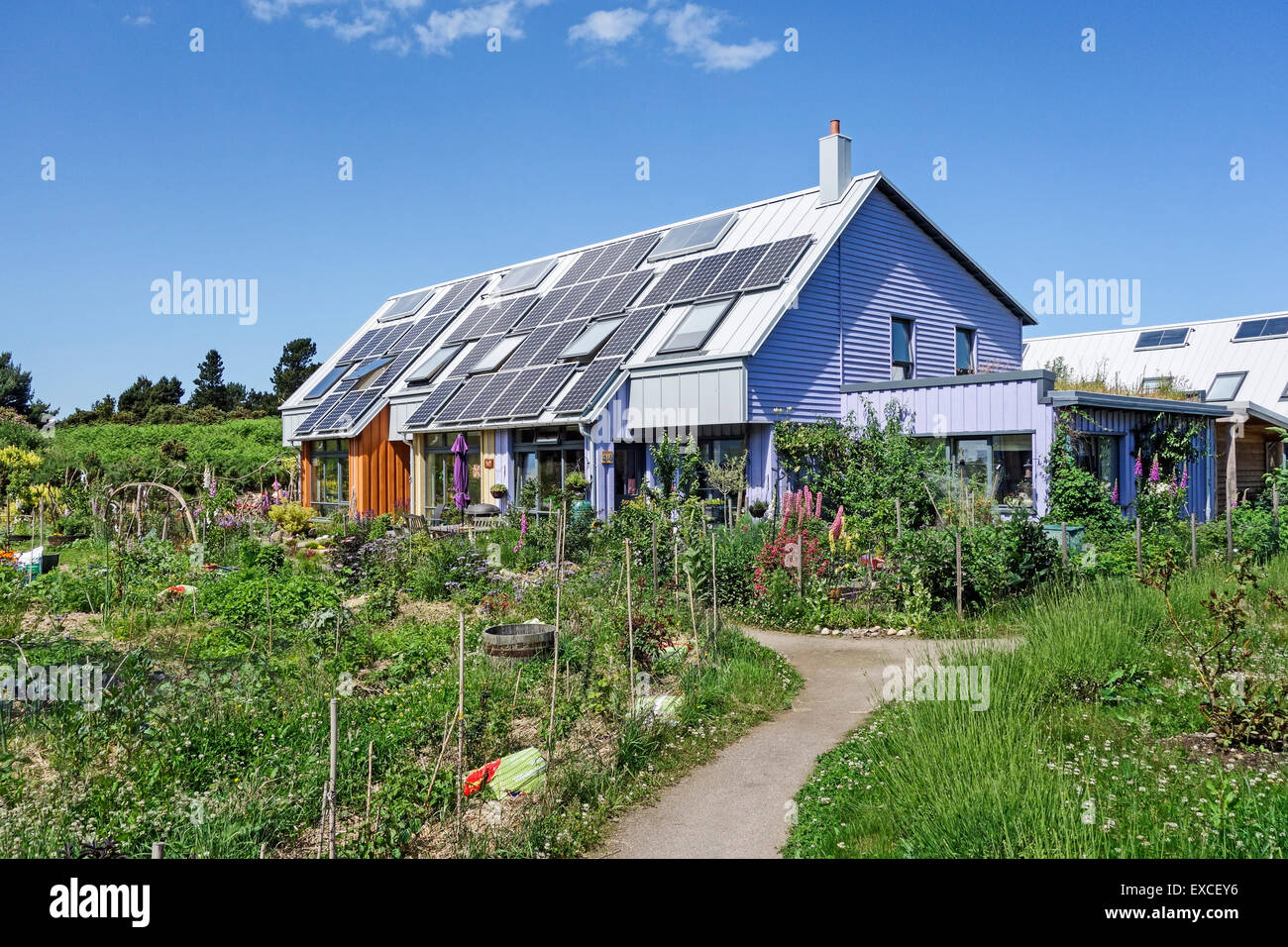 Wohnen im Osten Ginster Co-Gehäuse-Cluster in Findhorn Eco Village Naturschutzgebiet Moray Schottland Stockfoto