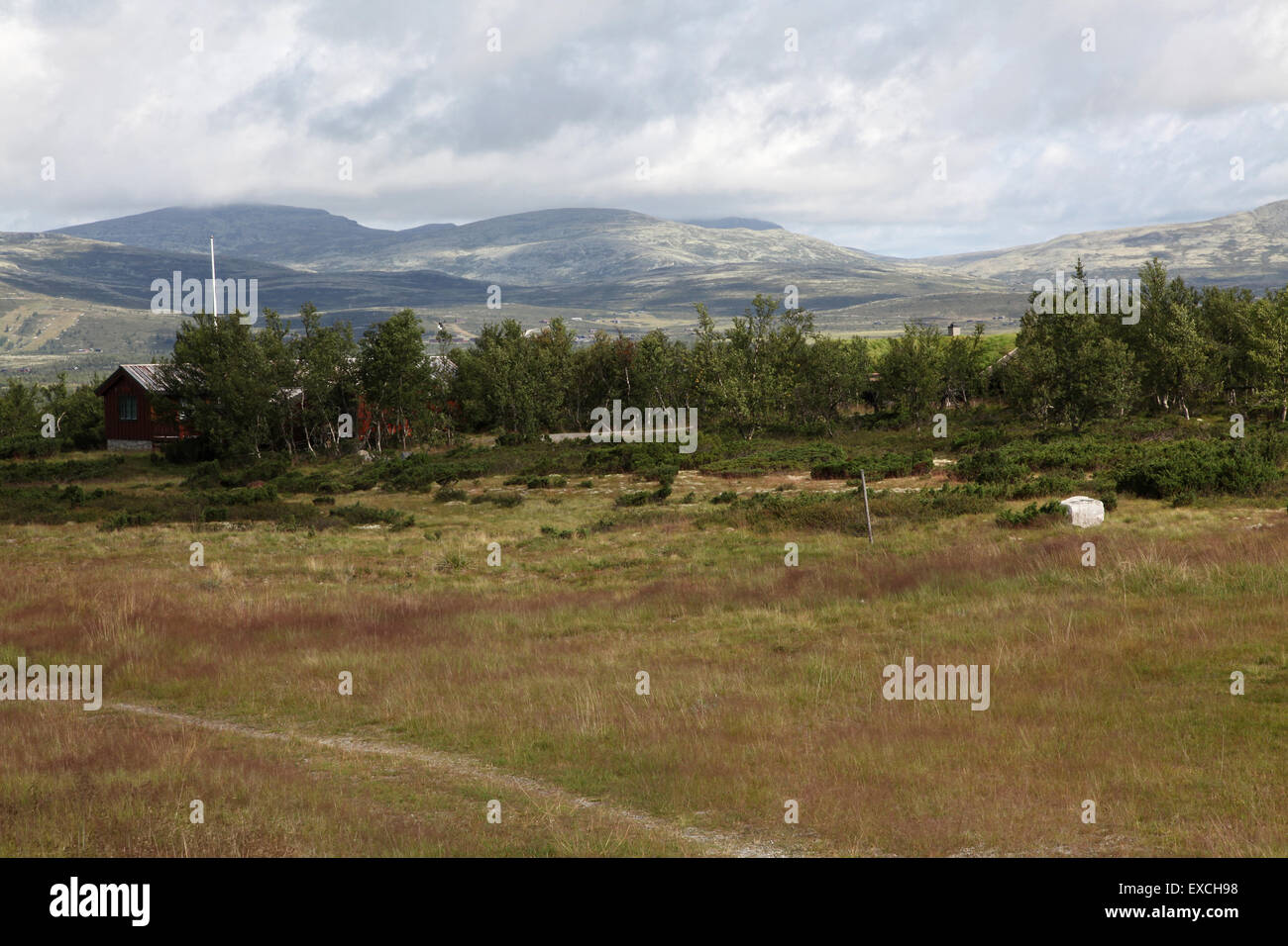 Blick auf Haus und Bäume, mit Bergkette im Hintergrund, Norwegen Stockfoto