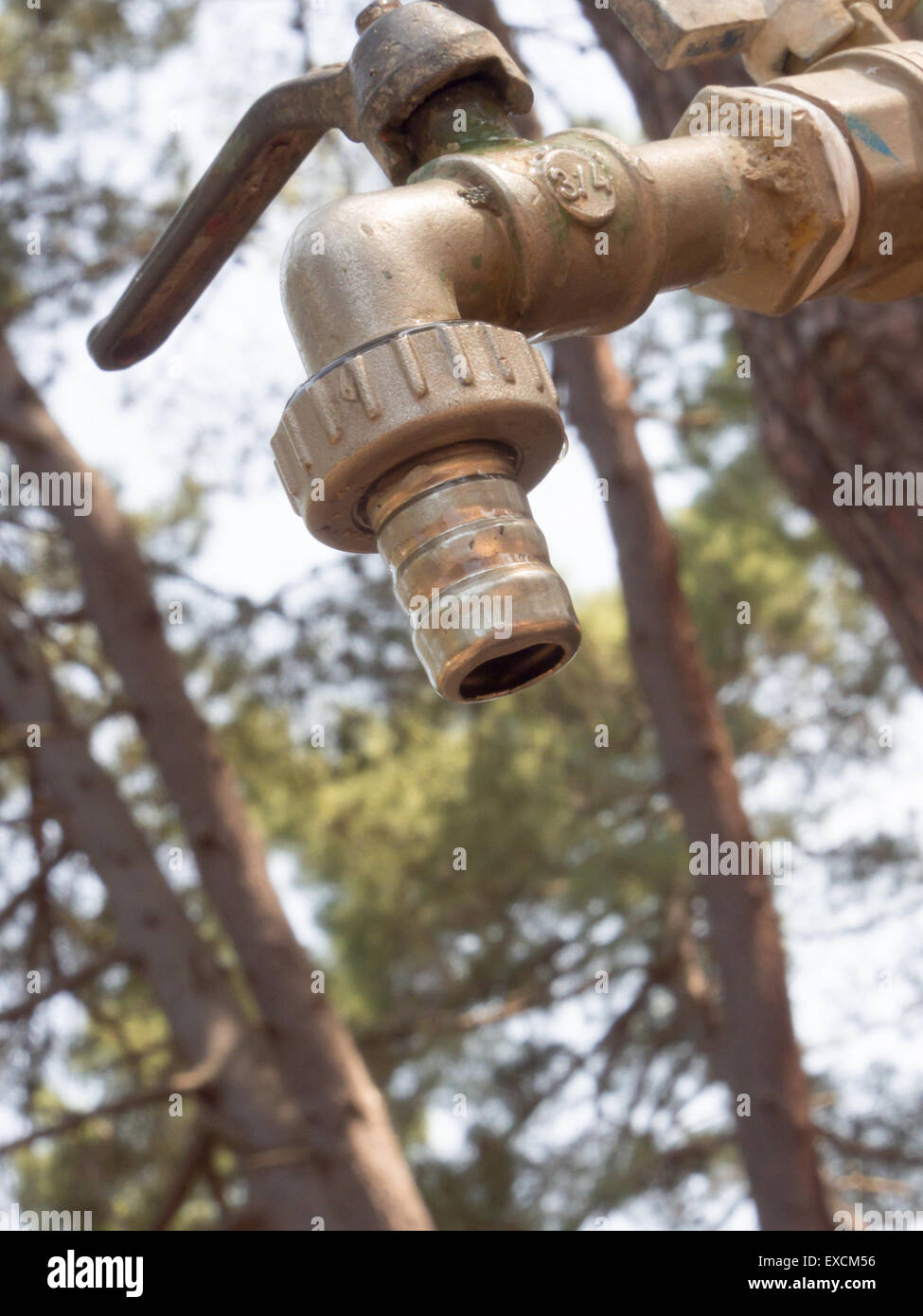 metallische Hahn geschlossen. Schließen Sie herauf Bild von einem metallischen enge Wasserhahn im Wald Stockfoto