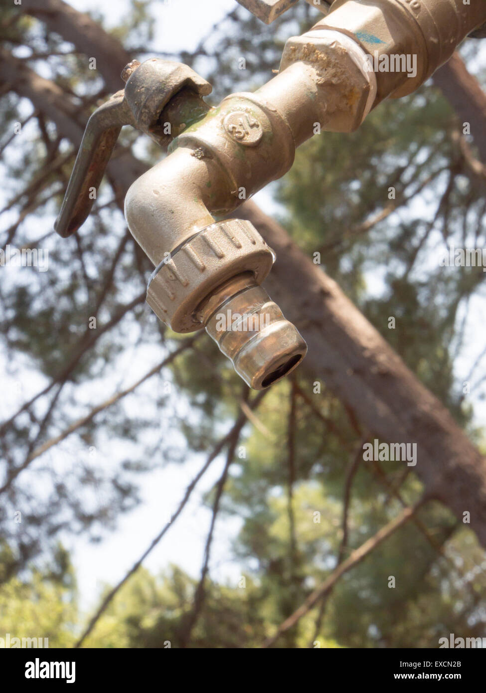 metallische Hahn geschlossen. Schließen Sie herauf Bild von einem metallischen enge Wasserhahn im Wald Stockfoto