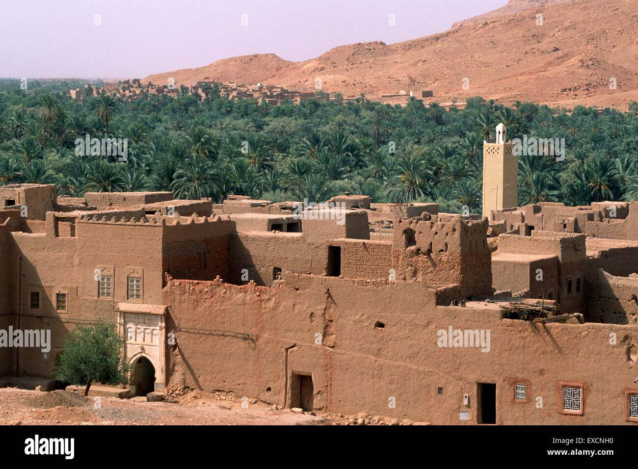 Marokko, Tafilalet, Ziz Tal, ksar Stockfoto