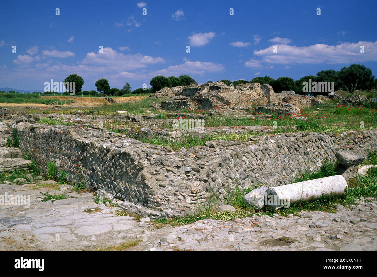 Italien, Kalabrien, Sibari, Sybaris Copia Thurii Stockfoto