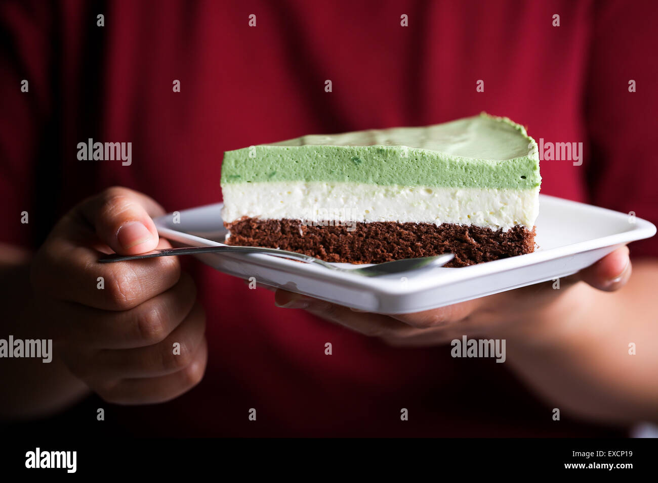 Ein Stück von Matcha/grüner Tee, Kokos Pulver und Schokoladenkuchen in einer Detailansicht. Stockfoto