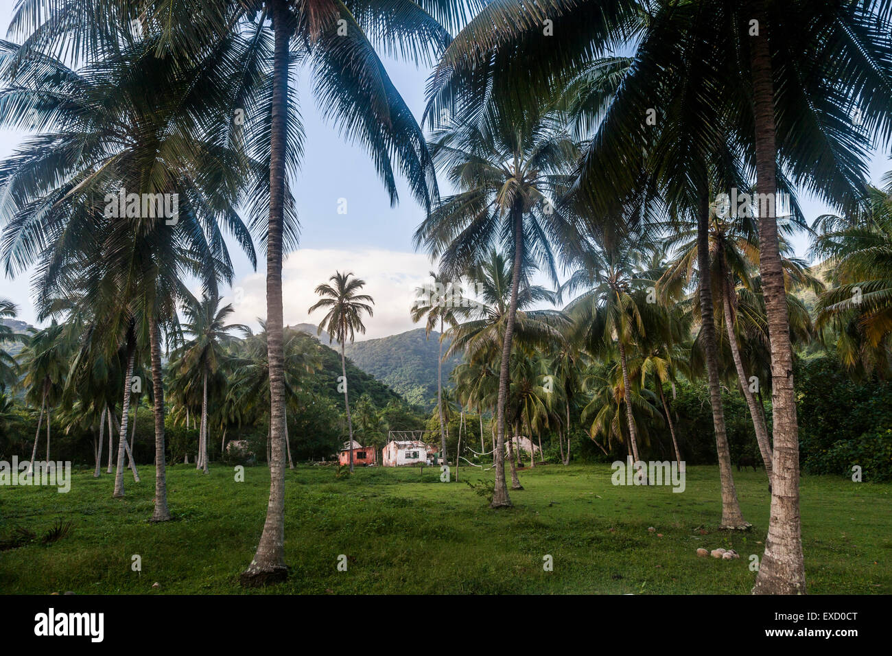 Rustikalen Campingplatz am Fuße der Sierra Madre de Santa Marta im Tayrona National Park, Kolumbien.  Der Park ist einer der m Stockfoto