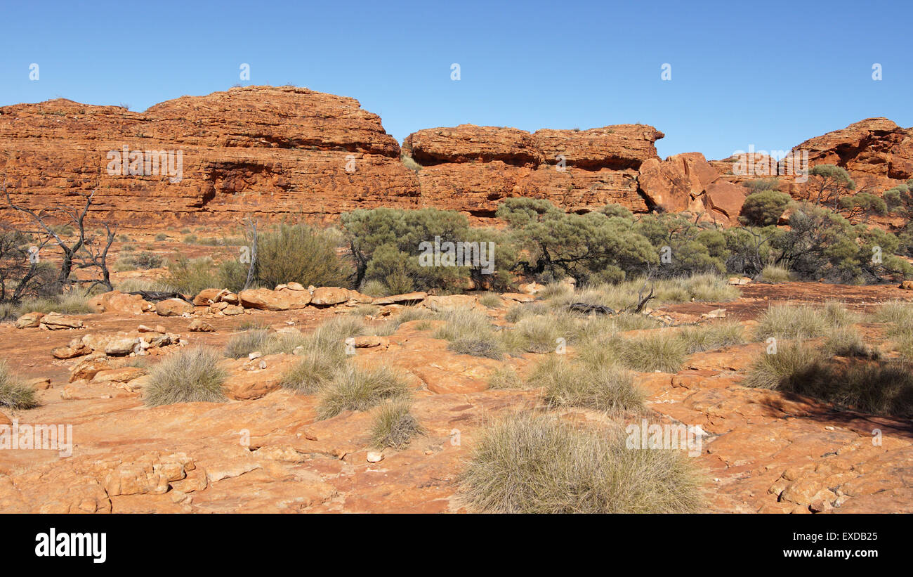 Landschaft des Kings Canyon, Outback von Australien Stockfoto