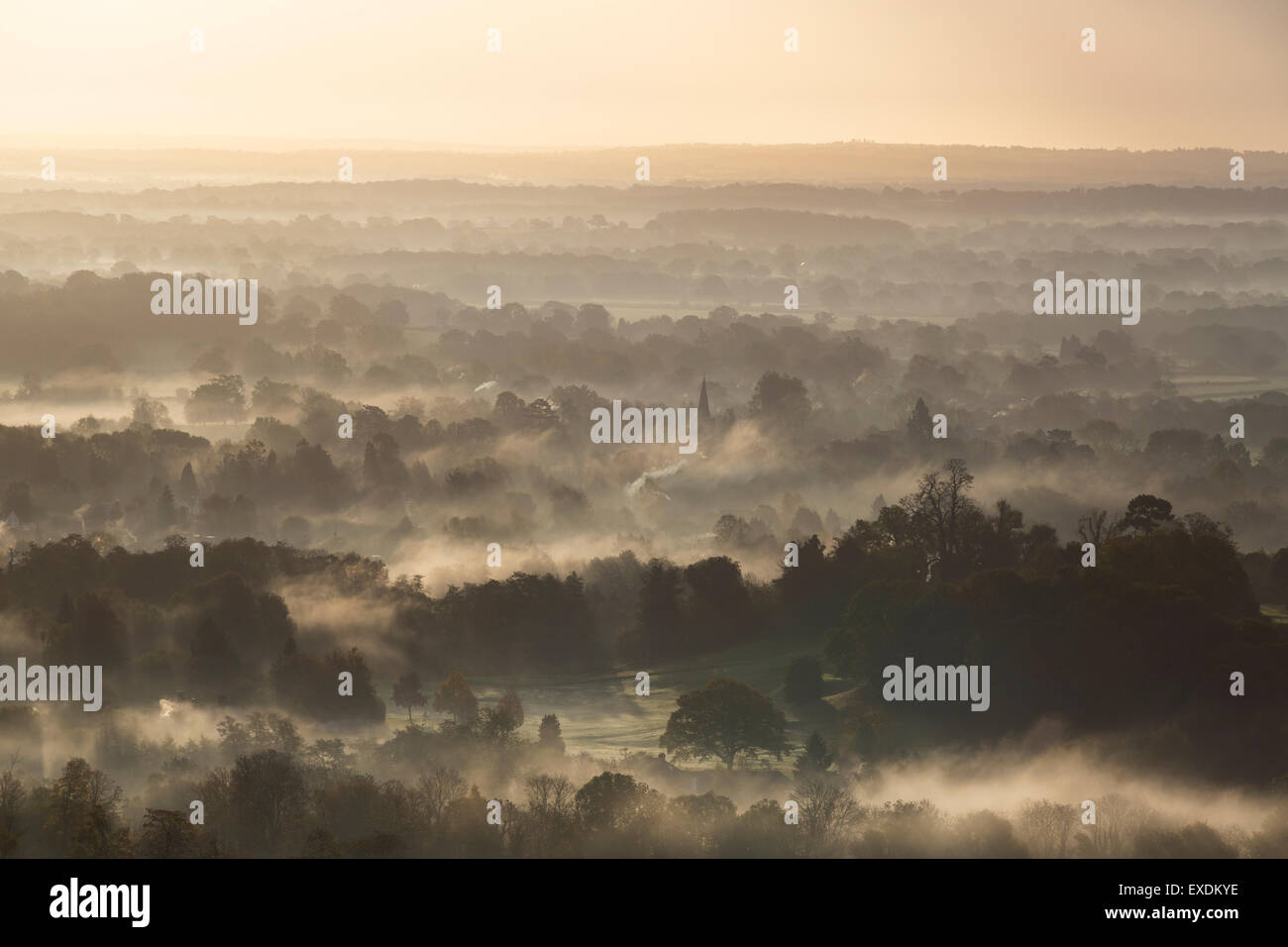 Box Hill, Surrey, North Downs, England Stockfoto