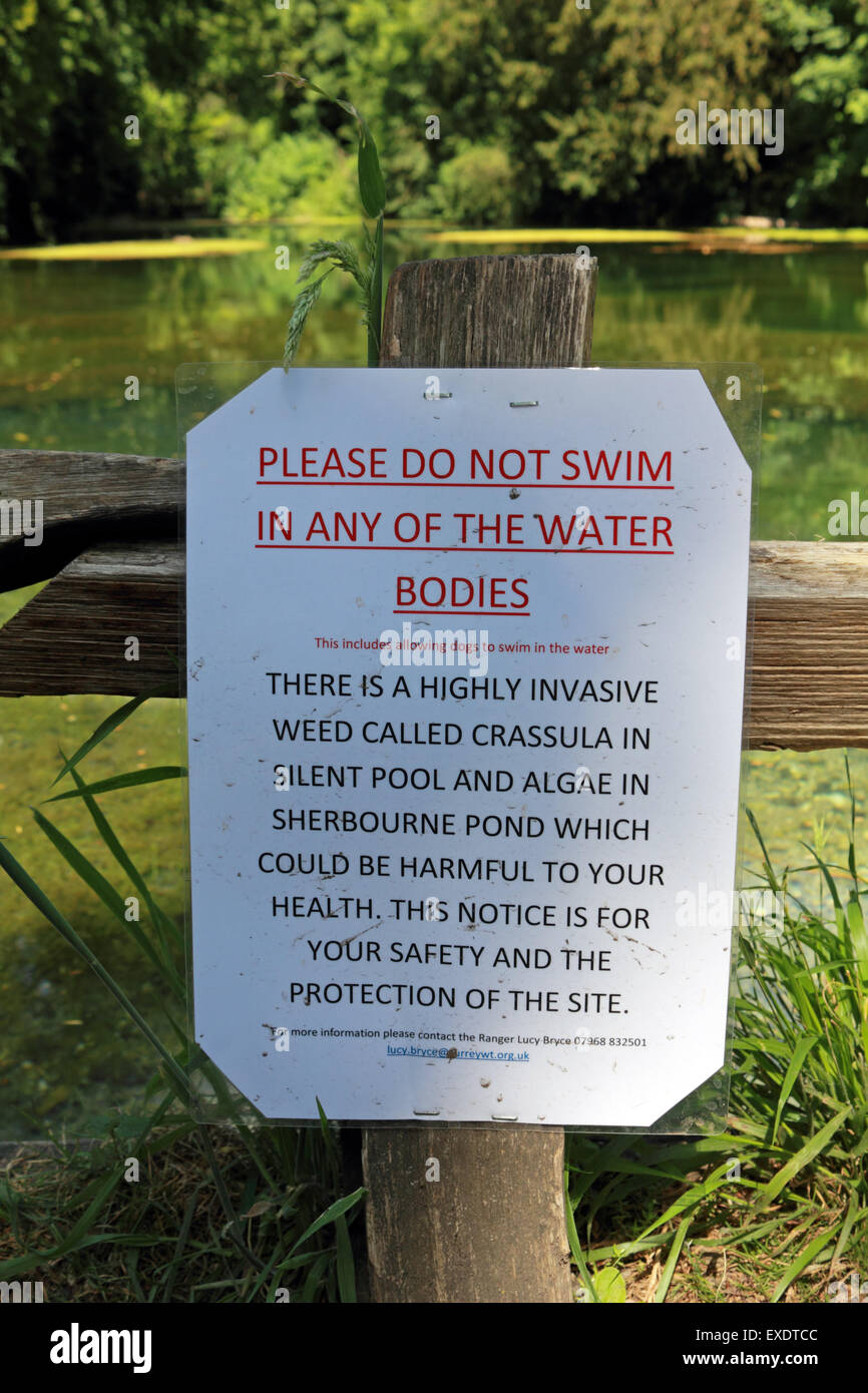 Teich Unkraut Stockfotos und bilder Kaufen Alamy