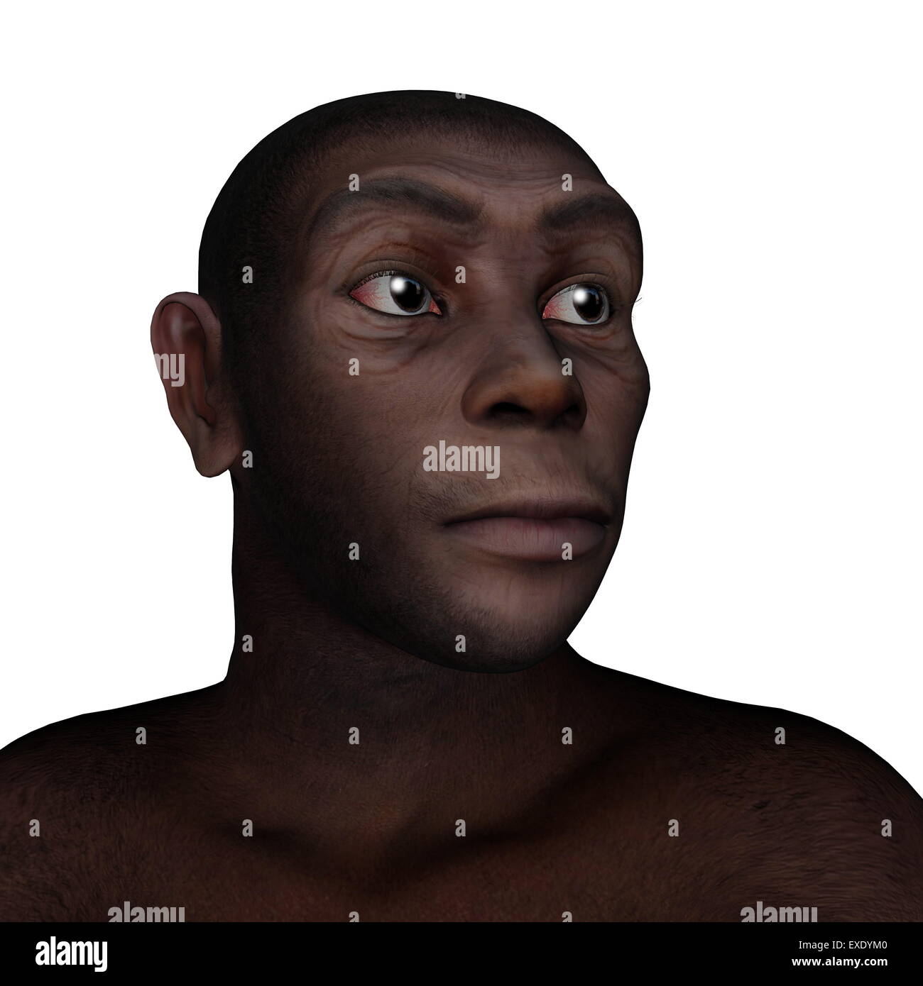 Männlichen Homo Erectus Porträt isoliert in weißem Hintergrund - 3D render Stockfoto