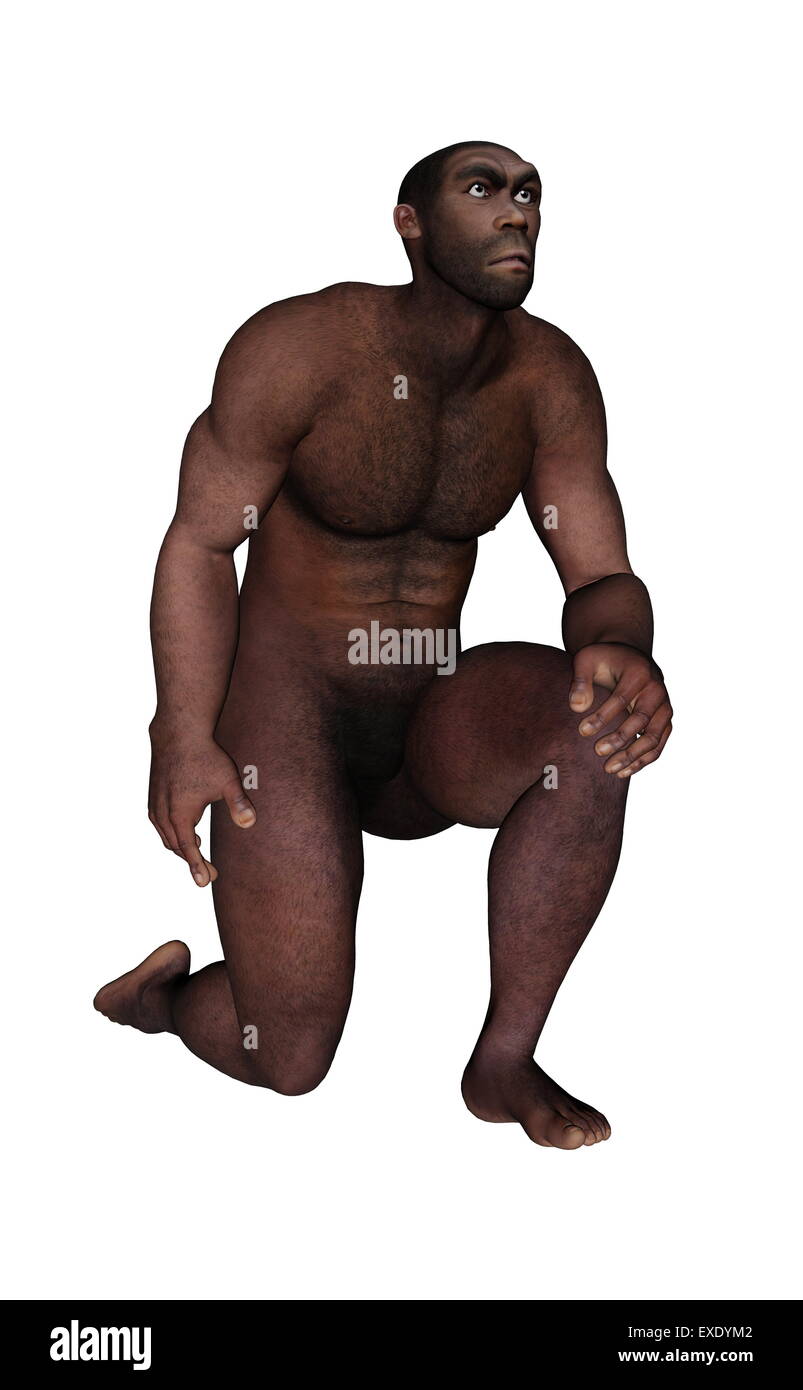 Männlichen Homo Erectus Fragen isoliert in weißem Hintergrund - 3D render Stockfoto