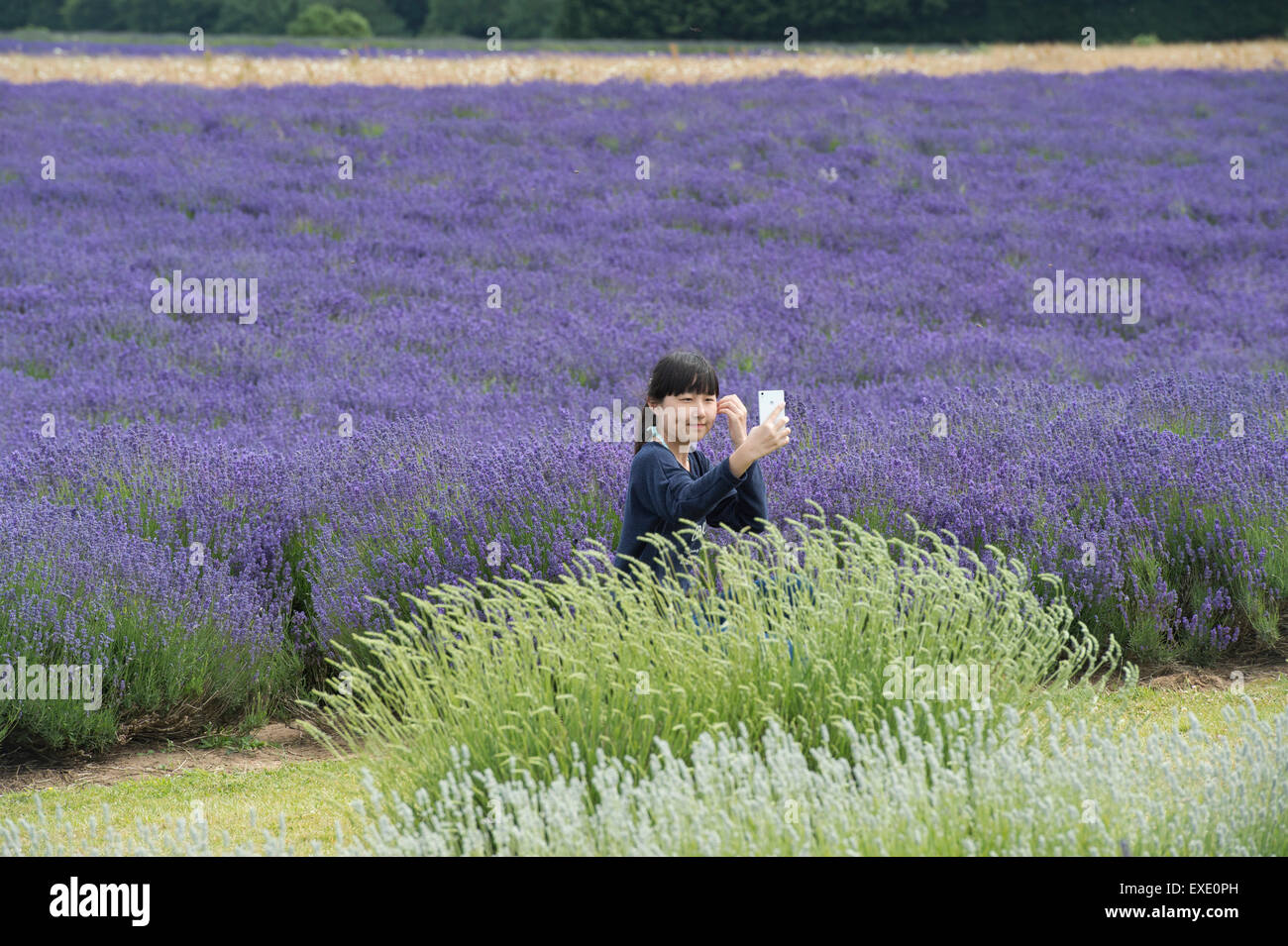 Weibliche chinesische Touristen nehmen eine Selfie vor Lavendel auf Snowshill Bauernhof Gloucestershire, England Stockfoto