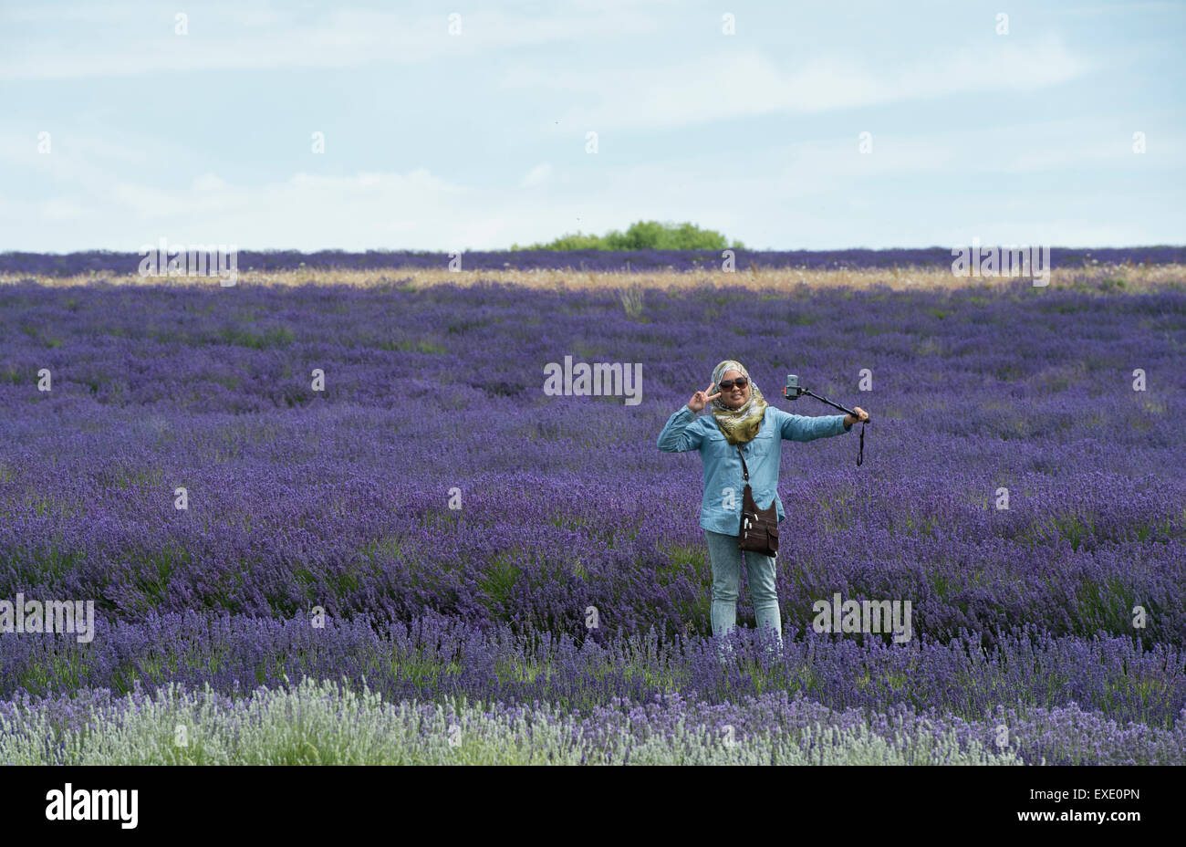 Weibliche asiatische Touristen nehmen ein Selbstporträt mit einem Selfie-Stick vor Lavendel auf Snowshill Bauernhof Gloucestershire, England Stockfoto