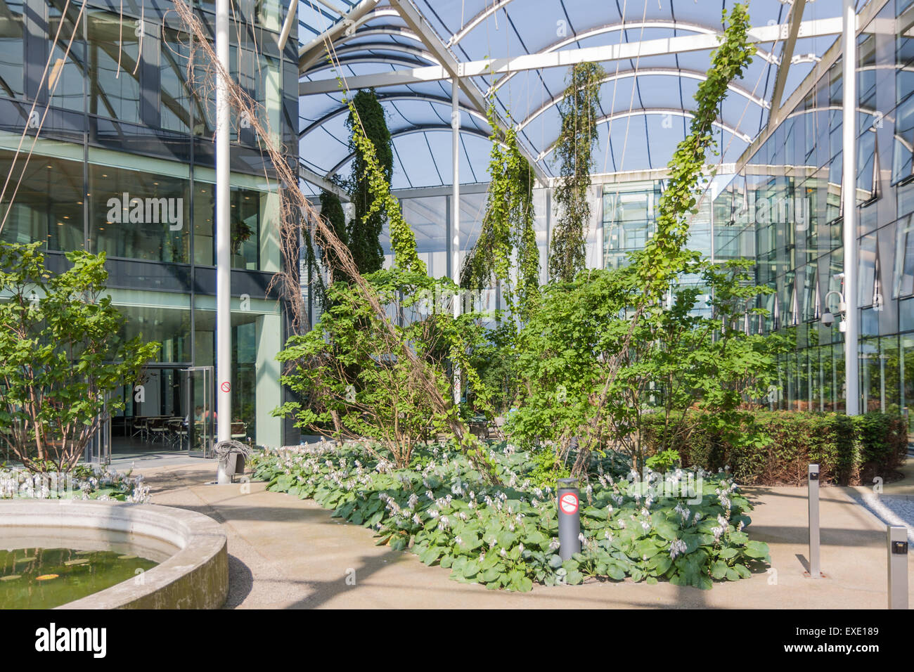 Atrium mit Pflanzen und Pool in großen modernen Bürogebäude Stockfoto