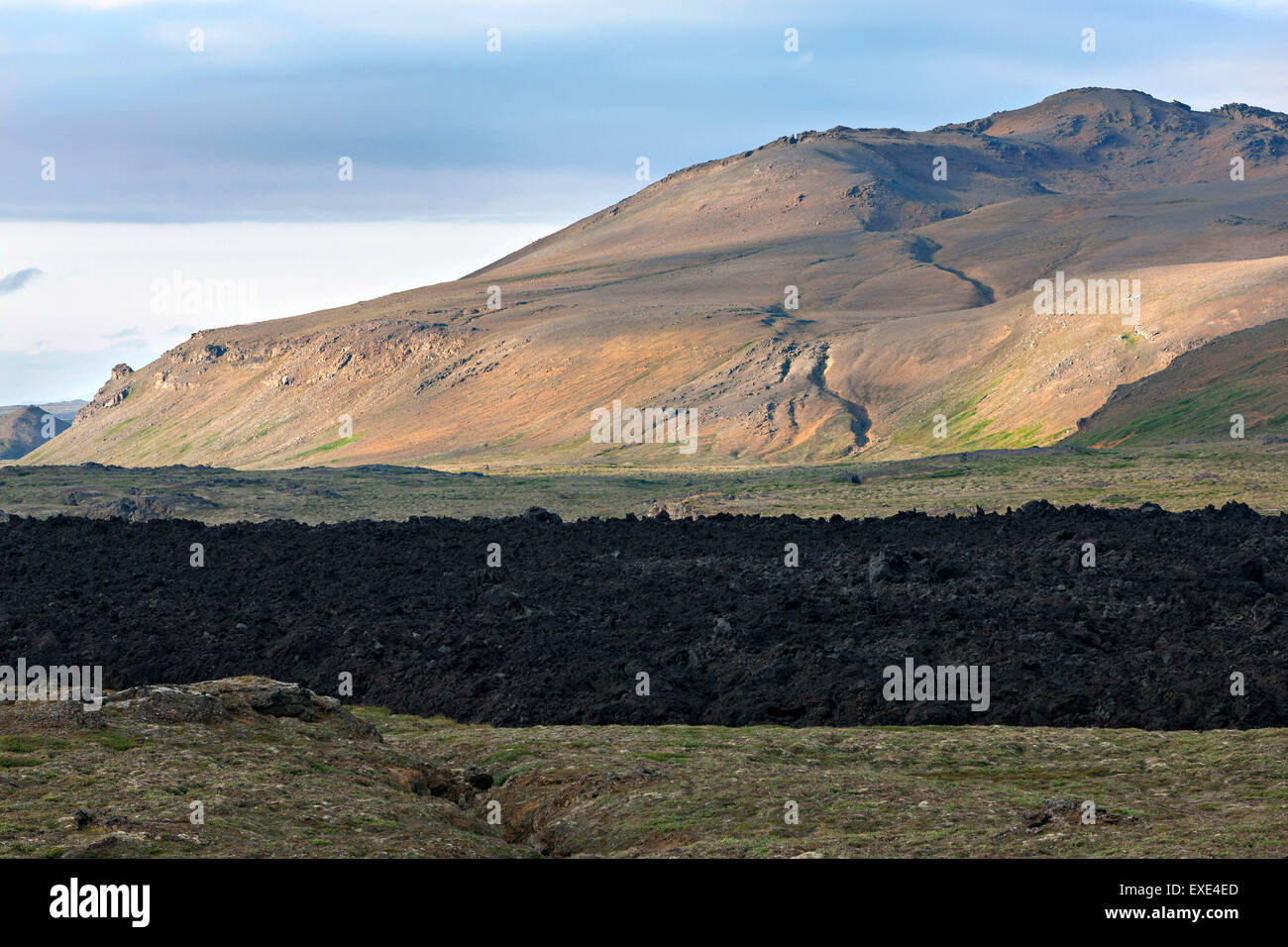 Kalte trockene Lavalandschaft, Hochland, Island Stockfoto