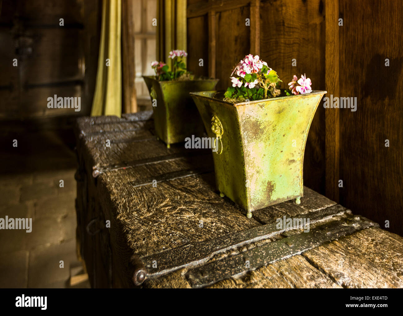 Blumentöpfe auf eine alte Truhe im Haddon hall Stockfoto