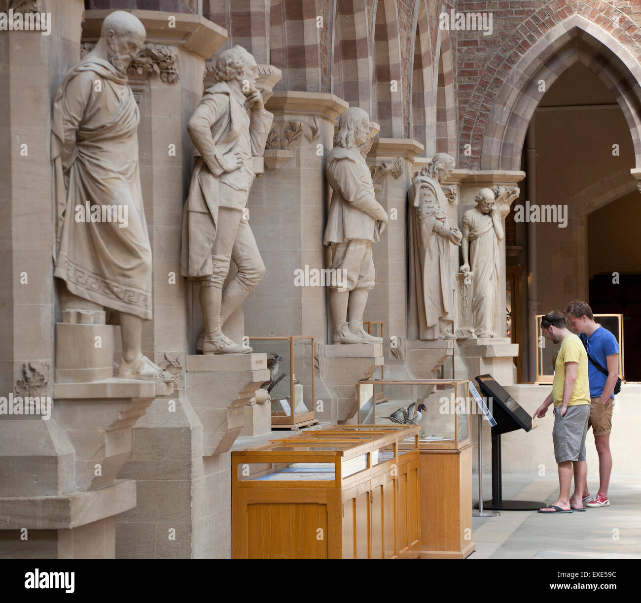 Statuen von Gelehrten auf dem Display an der Oxford Museum of Natural History, Oxford. Besucher, die mit Hilfe eines digitalen Museumsführers Stockfoto