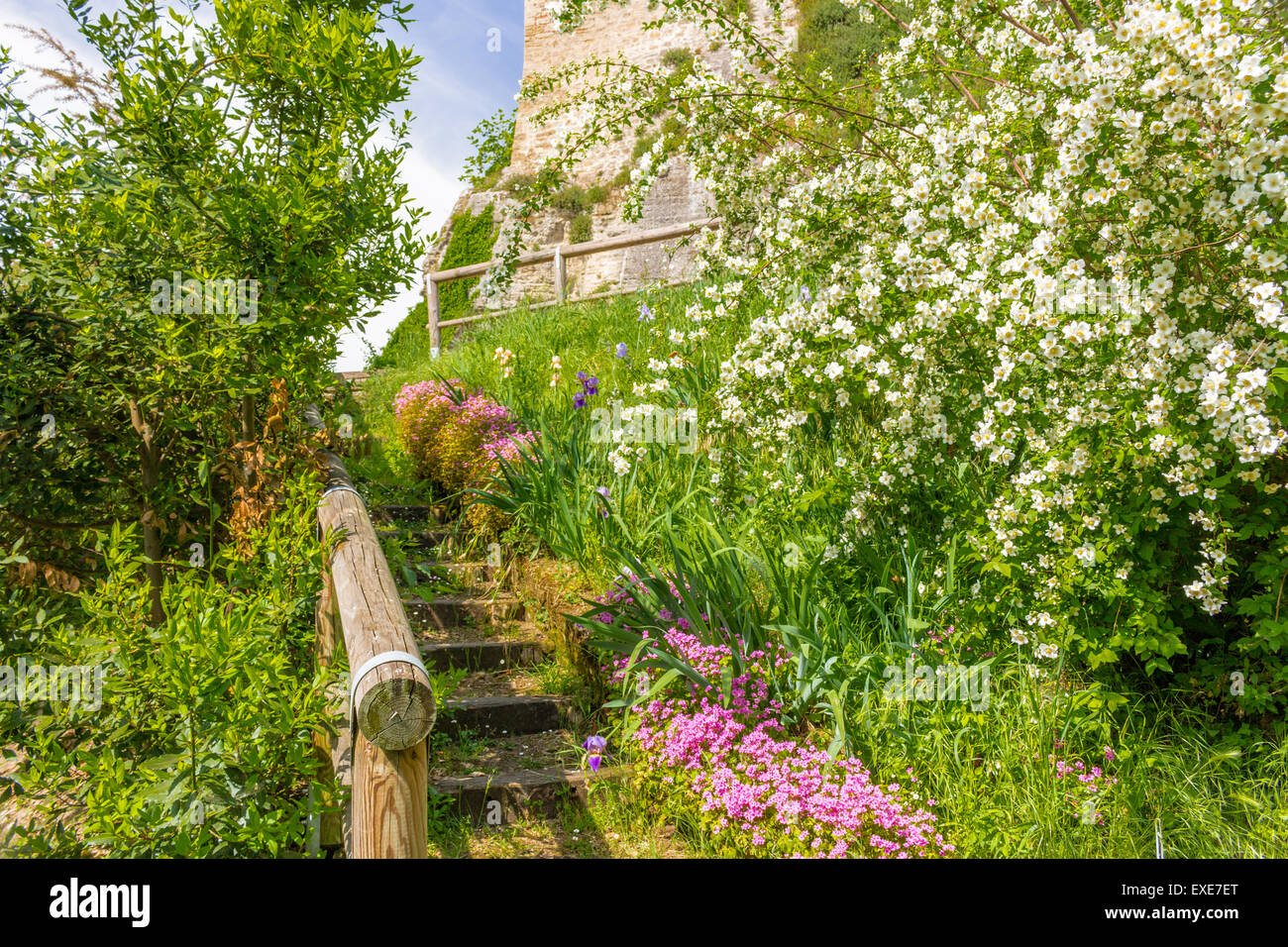 Steintreppen mitten in Fuchsia und weißen Blüten und üppigen Pflanzen mit lebendigen grünen Blättern führt zu den Ruinen einer alten italienischen Festung in eine bezaubernde Atmosphäre der historischen Erinnerungen Stockfoto