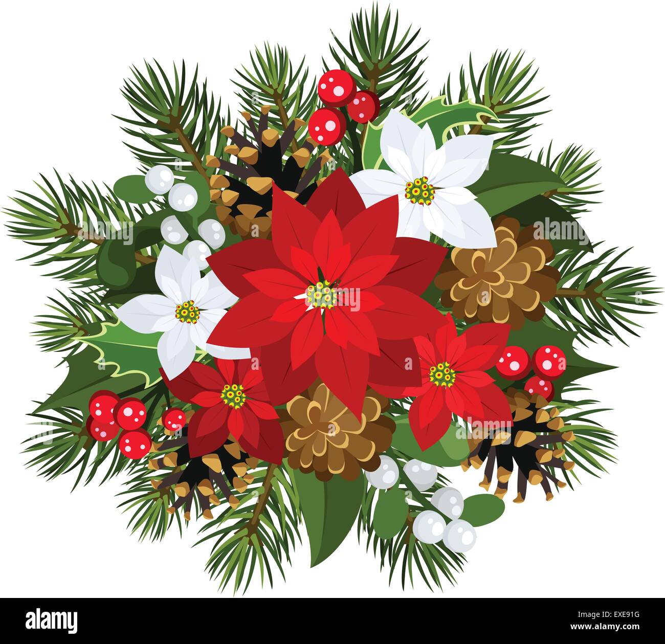 Weihnachts-Dekoration mit Weihnachtsstern, Tanne, Zapfen, Holly und Mistel.  Vektor-Illustration Stock-Vektorgrafik - Alamy