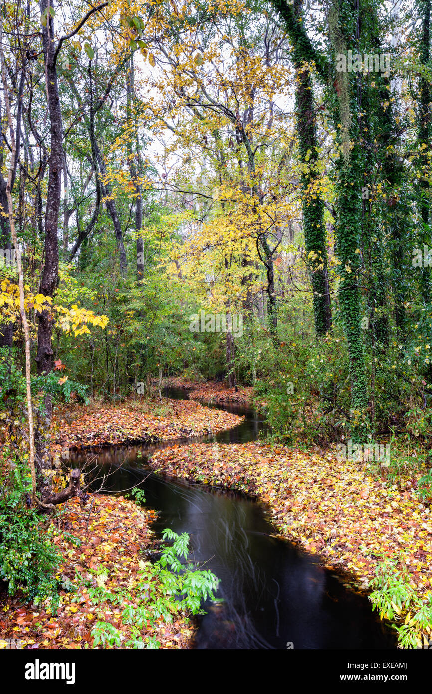 Lowcountry Herbstfarben entlang einem gewundenen Bach in der Nähe von Adams Run, South Carolina Stockfoto