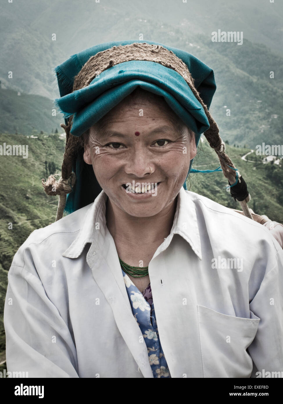 Darjeeling weiblichen Teepflückerinnen Stockfoto