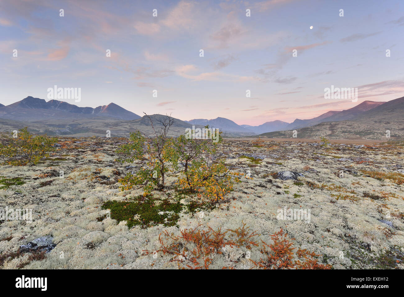 Herbstlandschaft im Fell, Rondane Nationalpark, Norwegen Stockfoto