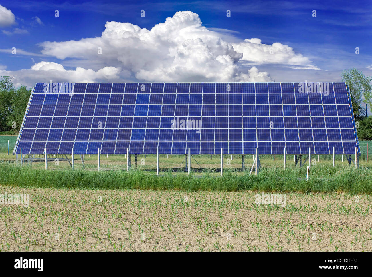 Photovoltaik-Solar-Panel auf dem Feld Stockfoto