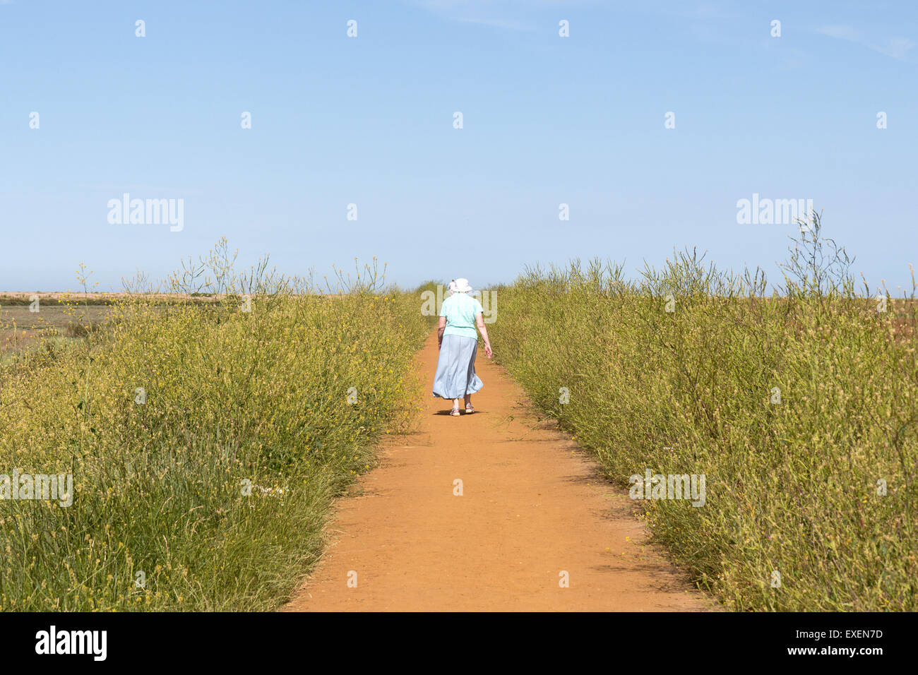 Ein Sommertag am Blakeney in Norfolk, England Stockfoto