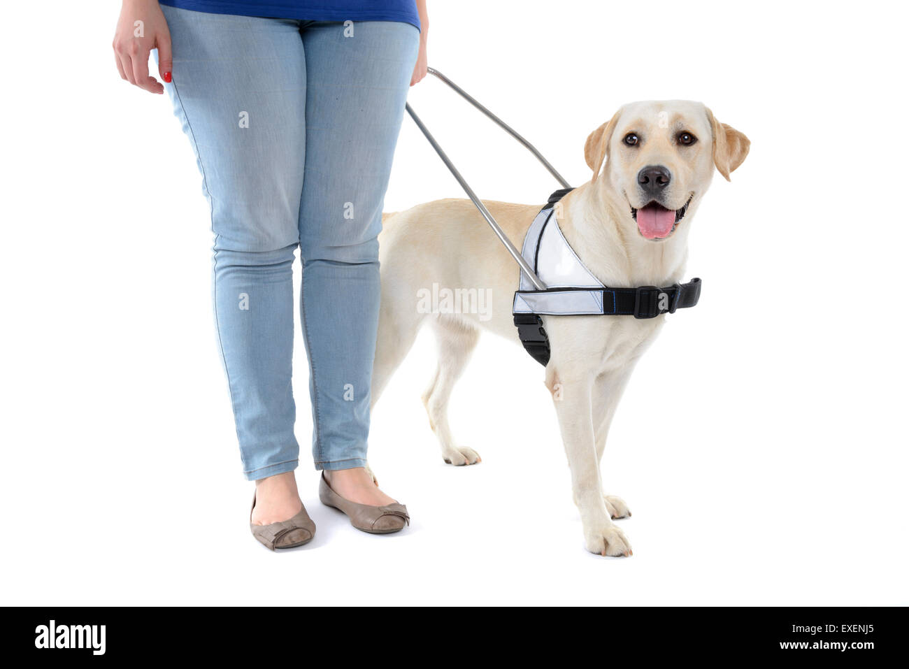 Person neben einem Blindenhund für blinde ausgeschnitten isoliert auf weißem Hintergrund Stockfoto