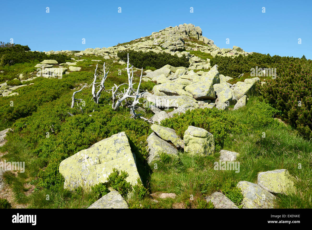 Violik, riesige Berge, Riesengebirge, Karkonoski Park Narodowy Riesengebirge, Tschechische Republik - Polen Grenze, die Quelle der LABE Stockfoto