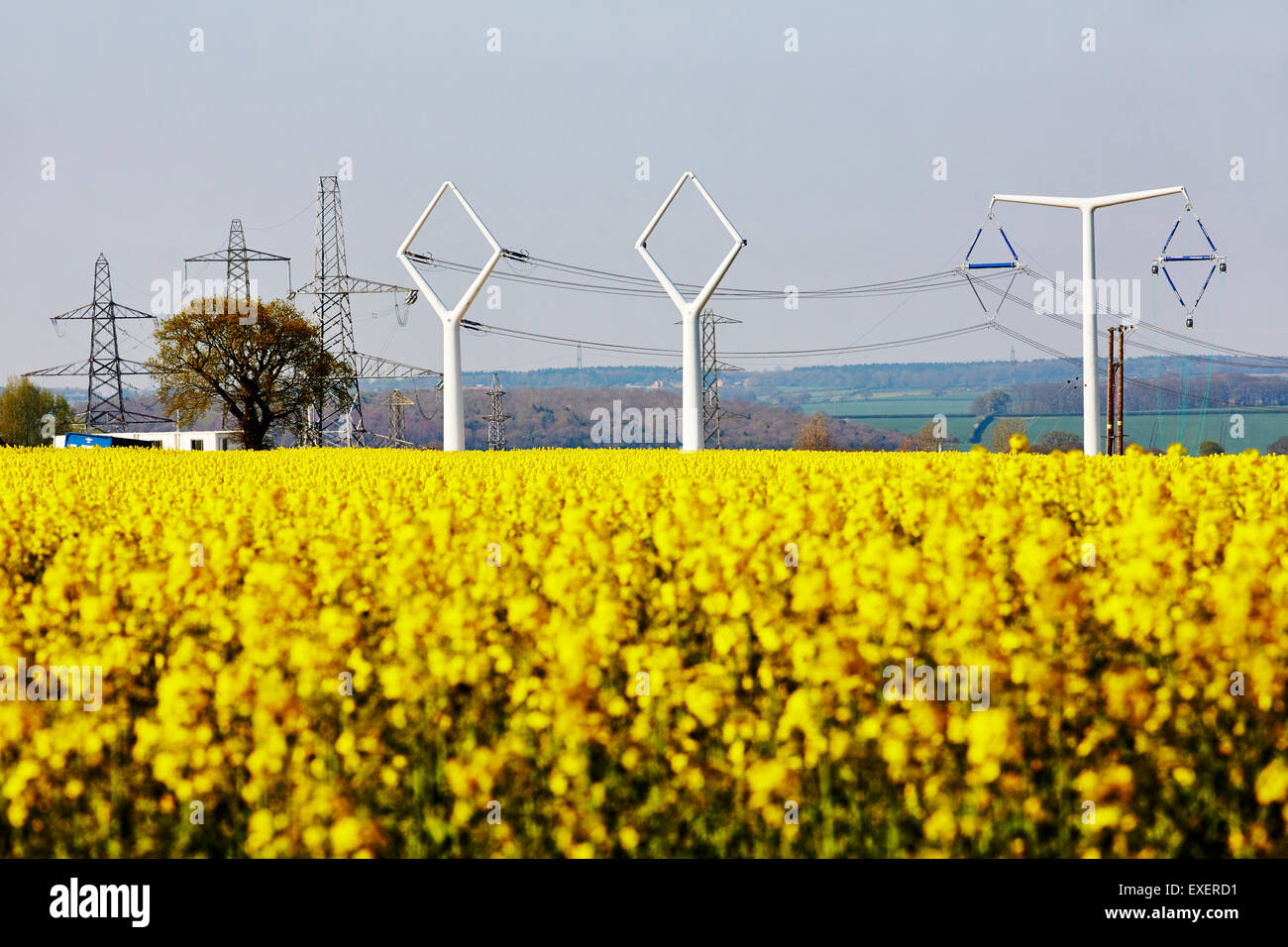 Bau des T-Pylonen im nationalen Netzen Ausbildungszentrum mit traditionellen Pylone im Hintergrund, Eakring, Nottinghamshire. Stockfoto