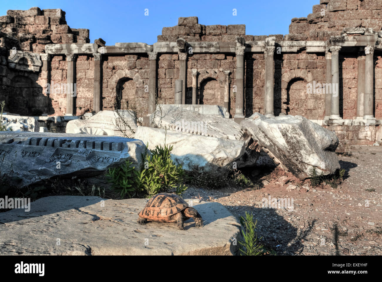 Bibliothek, Side, Antalya; Pamphylien; Turkei Stockfoto