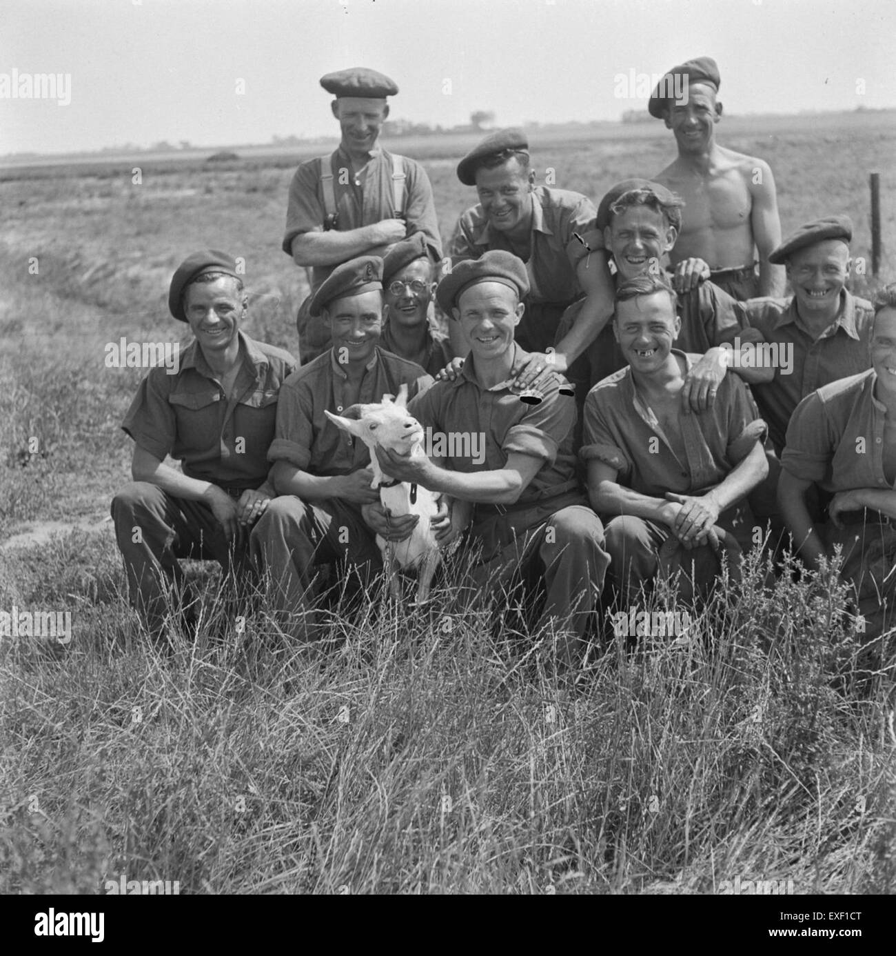 Dieses Foto aus dem Jahr 1945 zeigt kanadische Soldaten, die niederländischen Bauern während des Zweiten Weltkriegs helfen. Es veranschaulicht die Unterstützung der alliierten Streitkräfte für die Niederlande bei der Befreiung des Landes von der deutschen Besatzung. Stockfoto