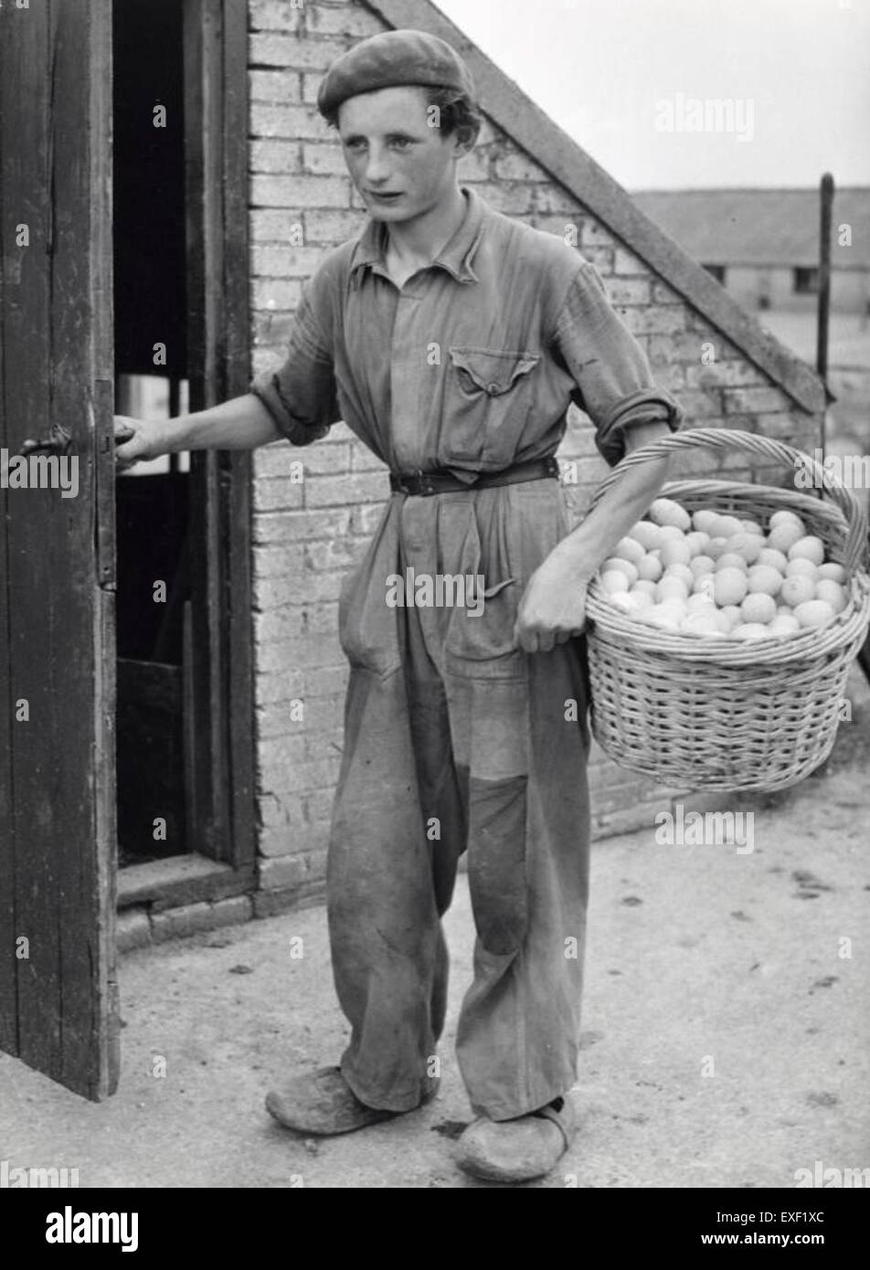 Dieses Bild zeigt eine traditionelle Entenfarm, in der die landwirtschaftlichen Praktiken und die Entenzucht für verschiedene Zwecke, einschließlich der Landwirtschaft und der Nahrungsmittelproduktion, hervorgehoben werden. Die Szene beleuchtet das ländliche Leben und die Tierhaltung. Stockfoto