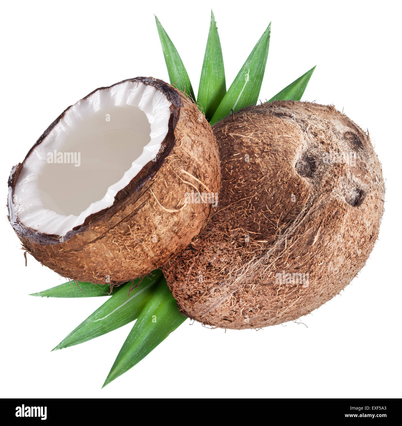 Kokosnuss mit Blättern. Datei enthält Beschneidungspfade. Stockfoto