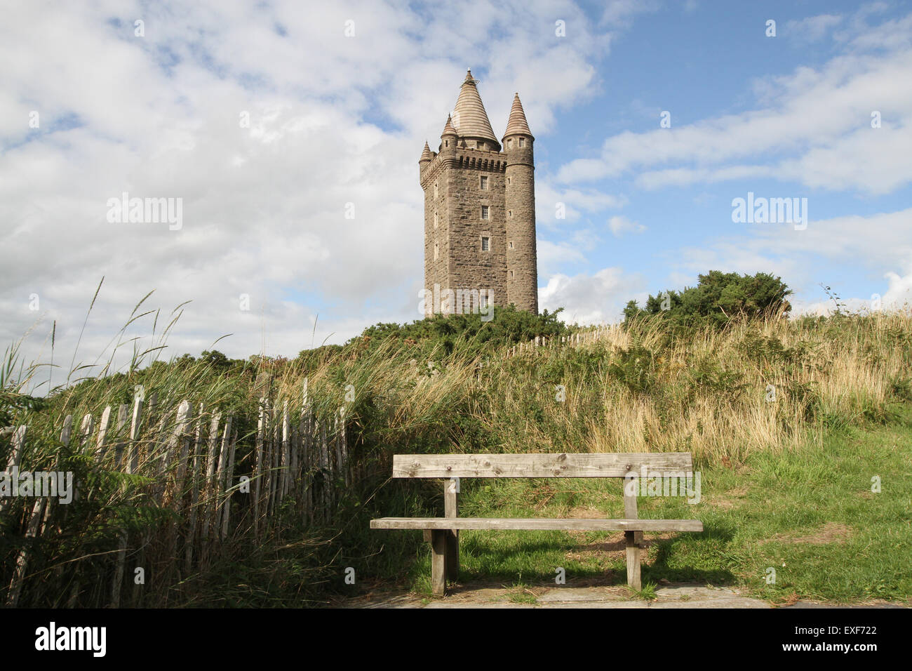 Scrabo Turm in Newtownards Grafschaft, Nord-Irland Stockfoto