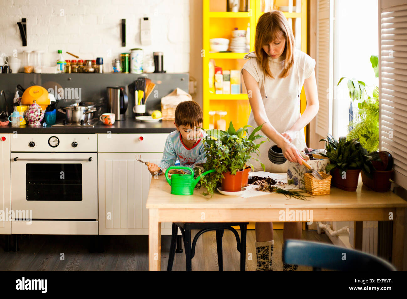 Junge und Mutter Pflege Topfpflanzen am Küchentisch Stockfoto