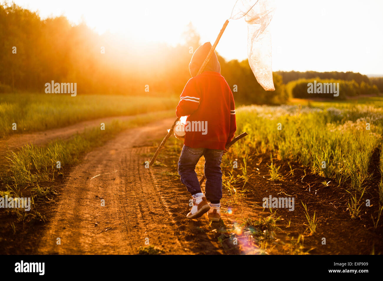 Rückansicht des jungen mit dem Schmetterling net gehen auf Feldweg bei Sonnenuntergang, Sarsy Dorf, Swerdlowsk, Russland Stockfoto