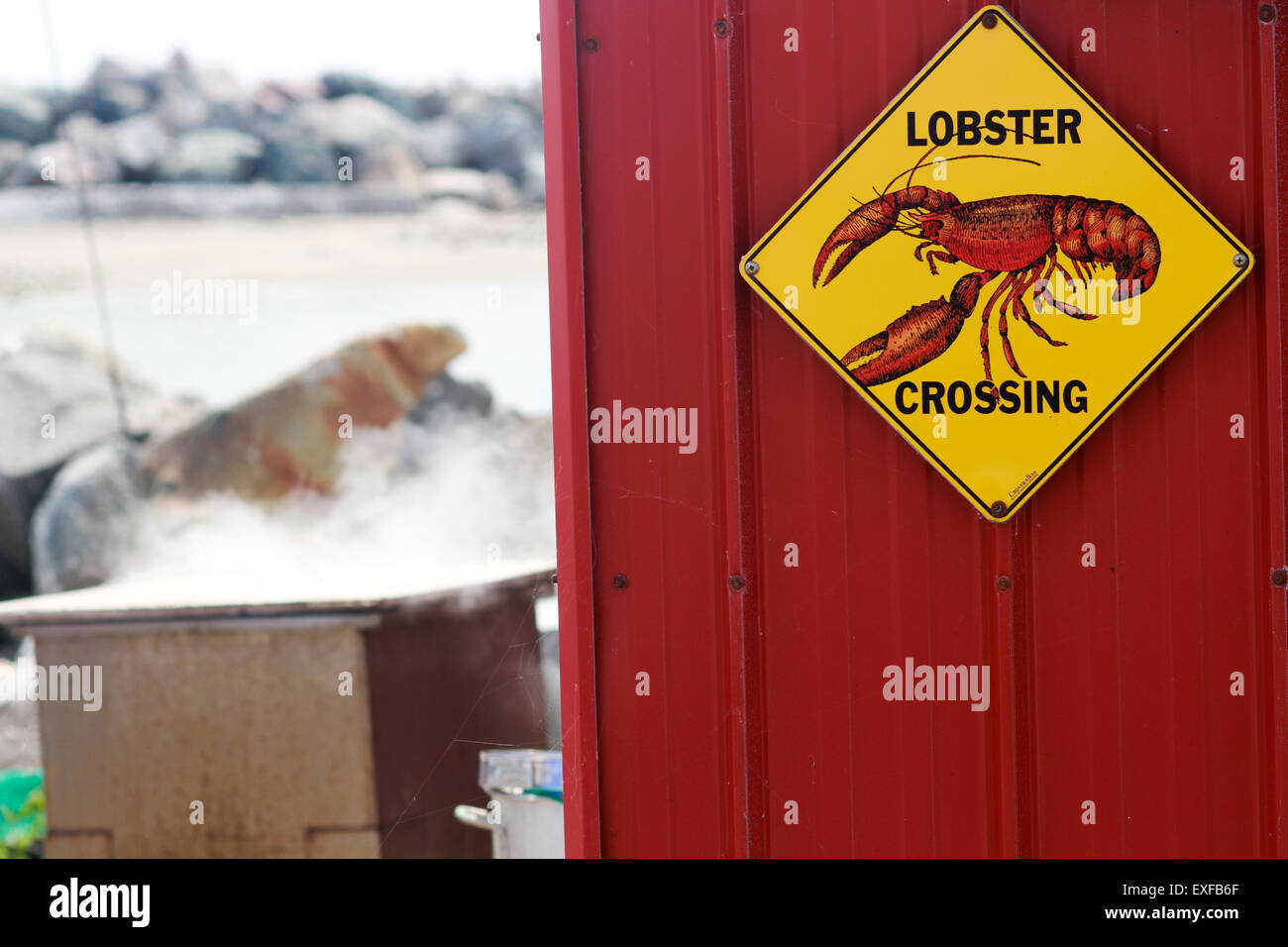 Kochen Sie Hummer Fischer ihren Fang am Kai in LIttle River, N.S. Stockfoto
