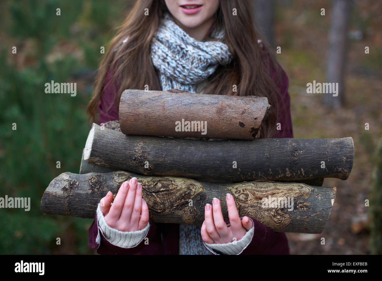 Junge Frau sammeln Protokolle für Lagerfeuer im Wald Stockfoto
