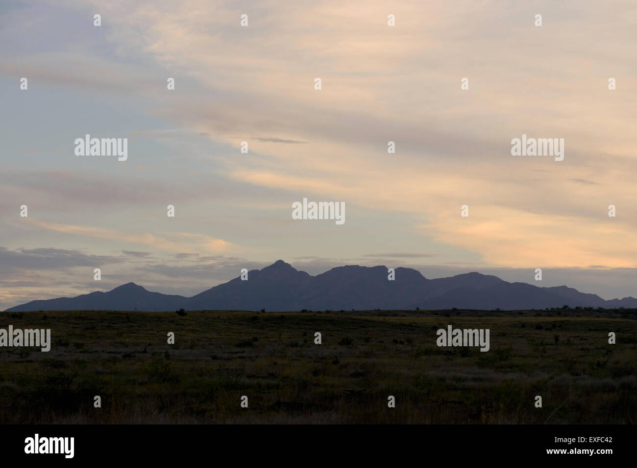 Santa Rita Mountains, Coronado National Forest, Sonoita, Arizona, USA. Stockfoto
