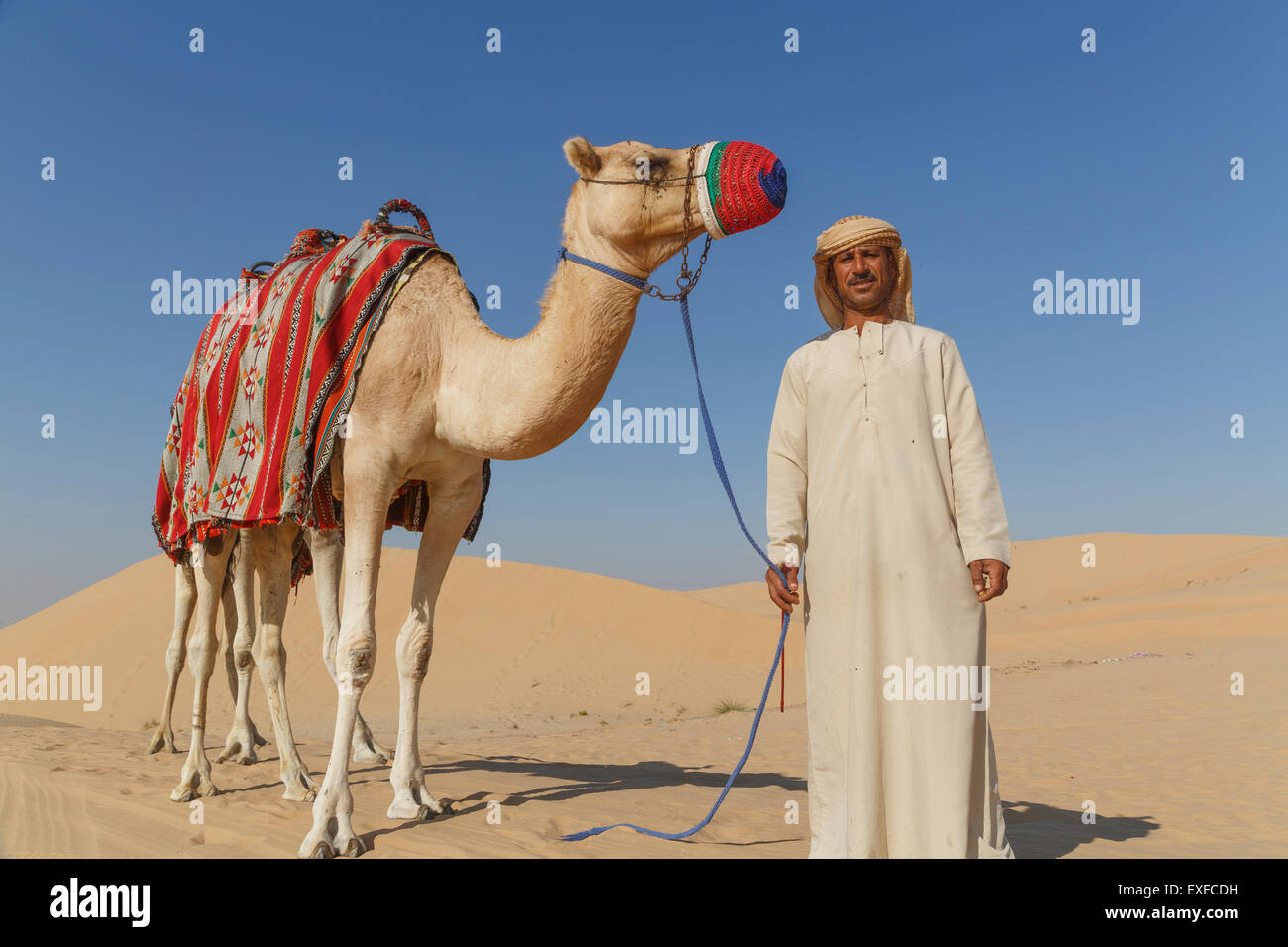 Porträt der Beduine mit Kamel in der Wüste, Dubai, Vereinigte Arabische Emirate Stockfoto