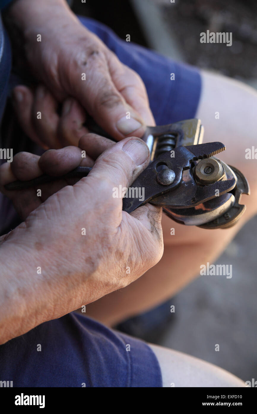 Ein Mann mit schlammigen Händen arbeitet an einem Rasensprengersystem. Stockfoto